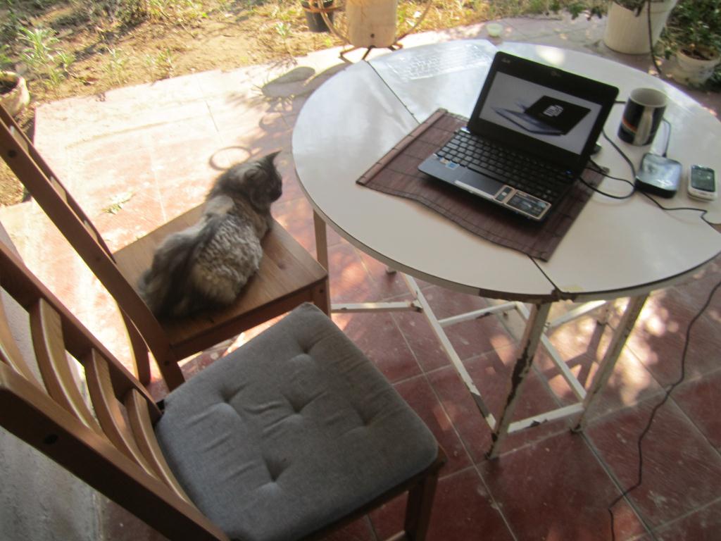 Her Royal Highness waitin' tae be served!