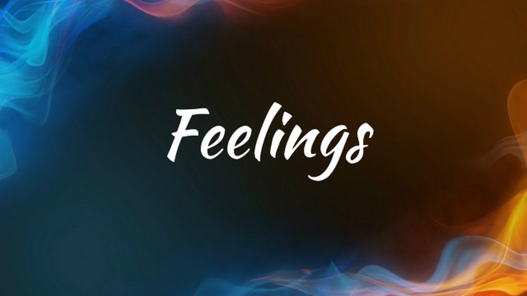 Feelings