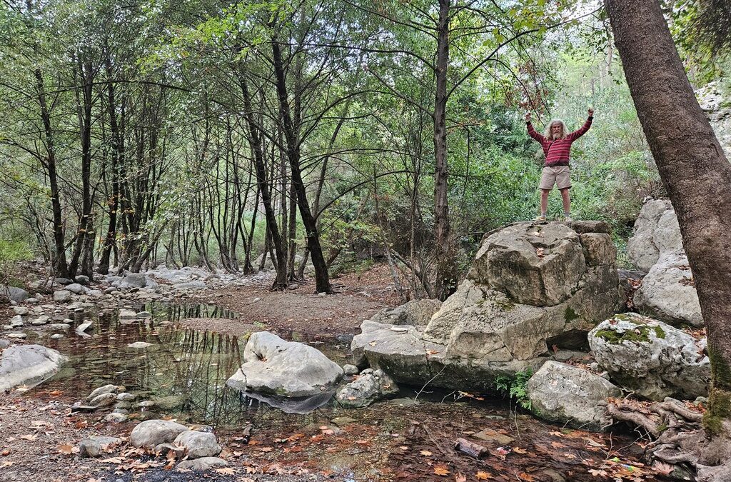 Antalya Living – 15/11/24