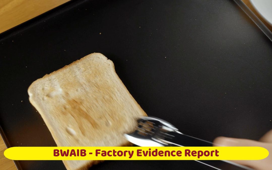 Factory Evidence Report
