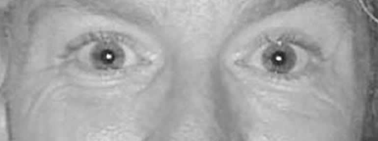 A’ Dinnae Mince Ma Wurds